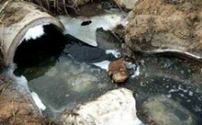  cod能反映水質污染情況嗎？