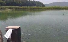  水產(chǎn)養(yǎng)殖水質(zhì)檢測標(biāo)準(zhǔn)，這五個方面讓水質(zhì)恢復(fù)清新