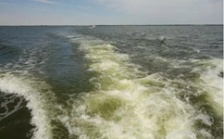  烏梁素海生態(tài)環(huán)境形勢仍不樂觀 綜合治理規(guī)劃不嚴(yán)不實