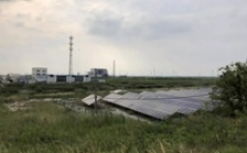  江蘇海安市違規(guī)撤銷沿海防護(hù)林和灘涂縣級自然保護(hù)區(qū)實施開發(fā)建設(shè)