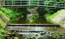  河南開封飲用水水源地環(huán)境問題整治工作不嚴(yán)不實