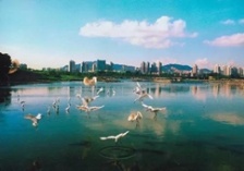  生態(tài)環(huán)境部通報水源地專項督查進(jìn)展